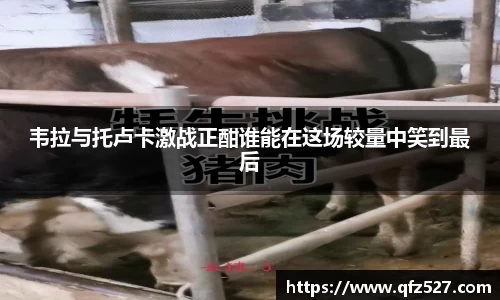 谈球吧